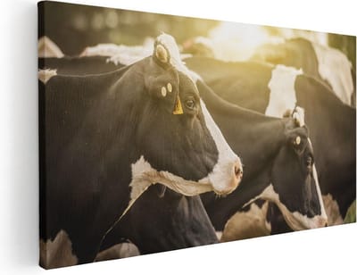 Artaza Canvas Schilderij Koeien - 40x20 cm - Klein - Wanddecoratie Woonkamer - Muurdecoratie Boerderijdieren - Schilderijen Op Canvas