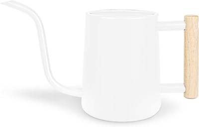 Metalen Gieter voor Kamerplanten - 1000 ml met Lange Uitloop voor Binnen en Buiten Tuin