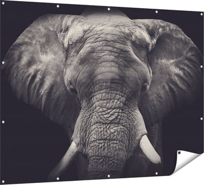 Gards Tuinposter Olifantenkop - Olifant - Zwart Wit - 160x120 cm - Tuindoek - Tuindecoratie - Wanddecoratie buiten - Tuinschilderij