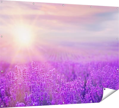 Gards Tuinposter Bloemenveld met Paarse Lavendel - 160x120 cm - Tuindoek - Tuindecoratie - Wanddecoratie buiten - Tuinschilderij