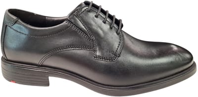 Lloyd Veterschoenen