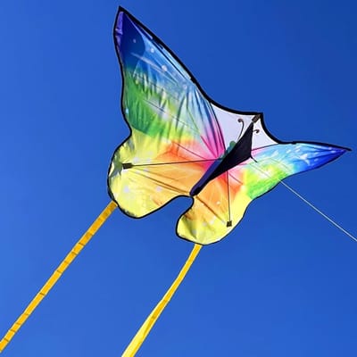 Vleugelvormige vlieger voor kinderen vanaf 3 jaar en volwassenen, 140 x 75 cm, met 100 m lijn en 8 kleurrijke staarten