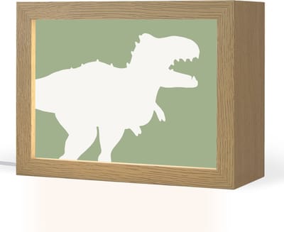 Nachtlampje 20x15 cm - Kinder lampje - Dino - T-rex - Dinosaurus - Groen - Tyrannosaurus rex - Tafellamp kinderkamer - Slaapkamer lamp - Bedlamp kinderen - Kinderlampje stopcontact - Wandlamp babykamer - Nachtlampjes