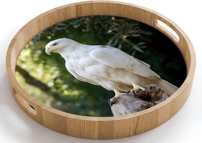 Dienblad rond 40x40 cm - Schootdienblad hout - Arend - Hout - Wit - Planten - Borrelplank rechthoek - Plateau houten dienbladen