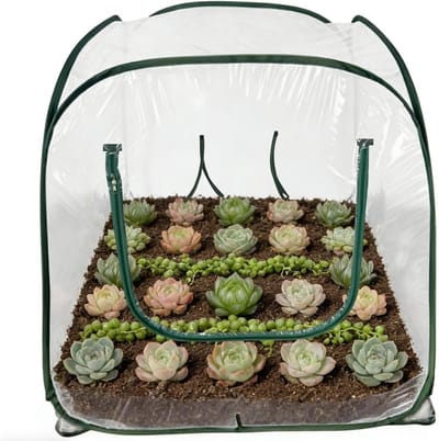 Opvouwbare Plantenkap - Mini Serre - Planten Beschermen - Snel Opzetontwerp - 98x98x98 CM - Transparant