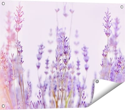 Gards Tuinposter Paarse Lavendel Bloemen - 80x60 cm - Tuindoek - Tuindecoratie - Wanddecoratie buiten - Tuinschilderij