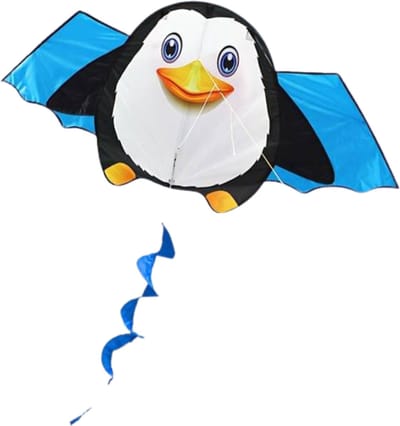 Bovista Vlieger Voor Strand - Kite Vliegers - Kindervlieger - Panda