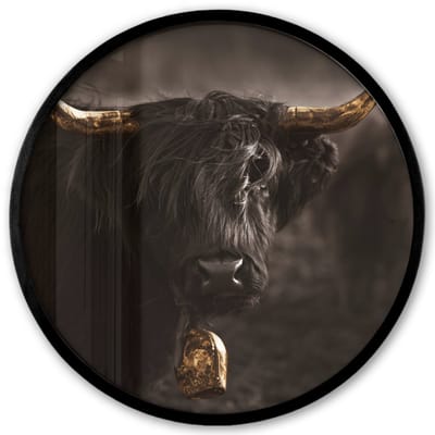 Poster in lijst Rond - Fotolijst 40x40 cm - Posters - Schotse hooglander - Goud - Koebel - Hoorns - Dieren - Ronde posterlijst zwart - Decoratie - Wanddecoratie woonkamer - Muurdecoratie slaapkamer