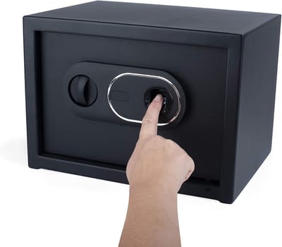 Elektronische Kluis - Vingerafdruk Brandkast - Waardevolle Spullen Opbergen - Vingerafdrukherkenning - 350x250x250mm