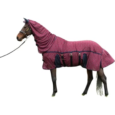 Trainings teugels voor paard Harry's Horse