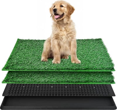 Grasmat voor honden potje, draagbaar potje voor binnen en buiten, 2 herbruikbare kunstgras met dienbladen, kunstgraspatch badkamermat en wasbare plasmat voor puppytraining