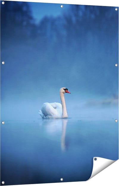 Gards Tuinposter Zwaan op het Water tussen de Mist - 90x120 cm - Tuindoek - Tuindecoratie - Wanddecoratie buiten - Tuinschilderij