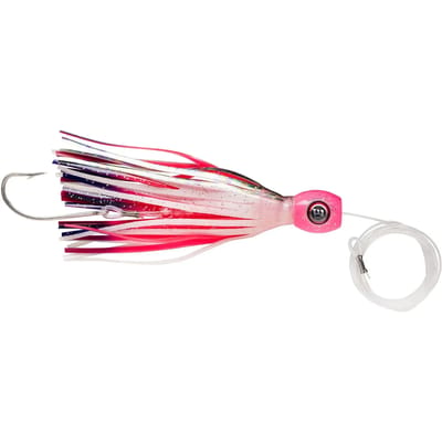 Lok Williamson Hspeed Sailfish