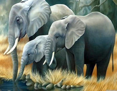 TOPMO- Olifanten familie - Diamond painting pakket - HQ Diamond Painting - volledig dekkend - Diamant Schilderen – voor Volwassenen – ROND - 40 x 50 CM