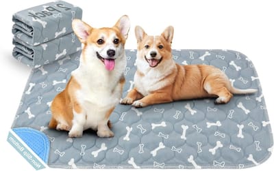 Wasbare Puppy Training Pads - 2 Stuks Herbruikbare Urine Pads voor Honden, Katten en Cavia's - Ideaal voor Incontinentie en Training (Grijs Bot, 40x60 cm)
