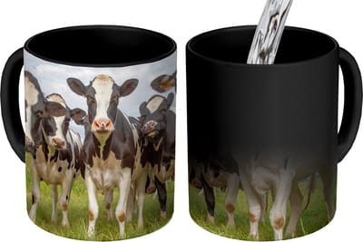 Magische Mok - Foto op Warmte Mokken - Koffiemok - Koeien - Weiland - Dieren - Natuur - Gras - Magic Mok - Beker - 350 ML - Theemok