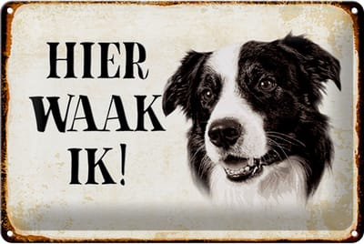 metalen bordje zeggen 30x20cm nederlands Hier Waak ik Border Collie