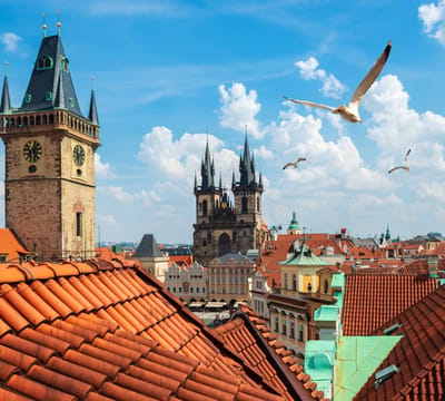 Klokkentoren en Tynsky kathedraal in zomers Praag - Fotobehang (in banen) - 250 x 260 cm