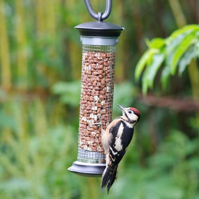 CJ Wildlife Apollo Pindasilo - Premium Metalen Vogelvoederhuisje - Weerbestendige Voersilo voor Tuinvogels - Makkelijk Schoon te Maken & Navulbaar - 5 jaar garantie - Aanbevolen door Vogelbescherming Nederland