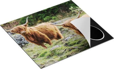 Chefcare Inductie Beschermer Twee Schotse Hooglanders bij Stenen - 60x50 cm - Afdekplaat Inductie - Kookplaat Beschermer - Inductie Mat