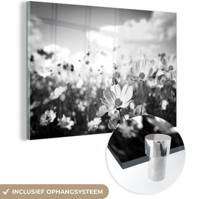 MuchoWow® Glasschilderij 30x20 cm - Schilderij acrylglas - Bloemen - Wei - Paars - Gras - Wit - Wolken - Blauw - Foto op glas - Schilderijen
