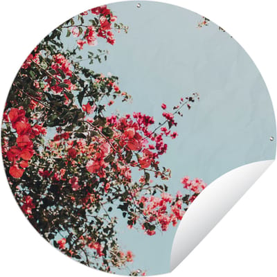Tuincirkel Bloemen - Lucht - Roze - 60x60 cm - Ronde Tuinposter - Buiten