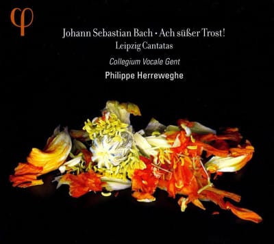 Ach Susser Trost! Leipzig Cantatas