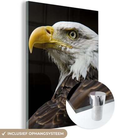 MuchoWow® Glasschilderij 120x160 cm - Schilderij acrylglas - Adelaar - Vogel - Ogen - Snavel - Foto op glas - Schilderijen