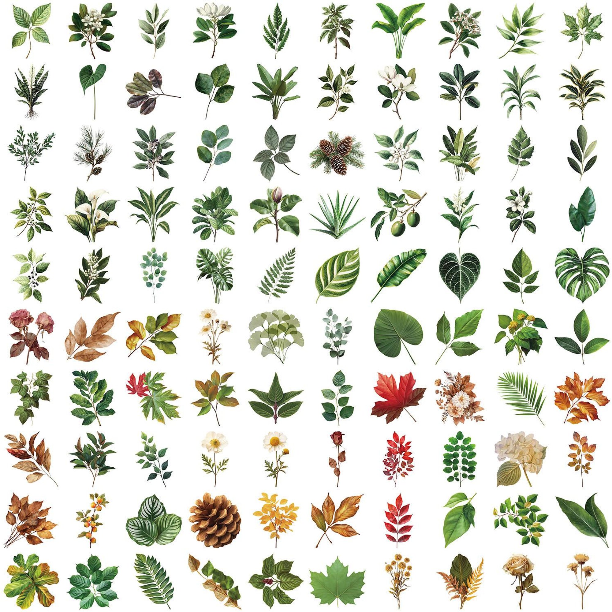 100 PIÈCES Autocollants Feuilles de Plantes Vertes DIY pour Décor Téléphone Guitare Boîte à Crayons Carnet Autocollants Transparents en PET