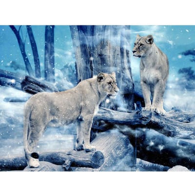 5D Diamond borduurwerk winter leeuw Diamond schilderij dier Strass Cross Stitch Kit handgemaakt 20X30CM gray
