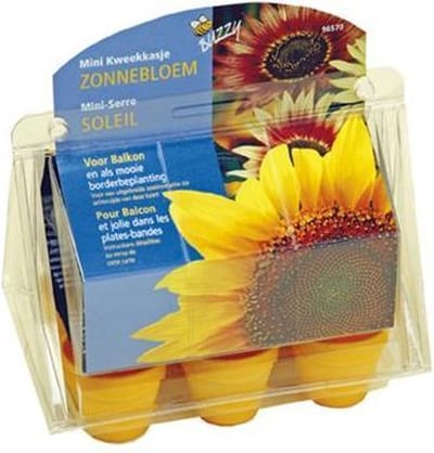 Buzzy  Zonnebloemen Kweekset
