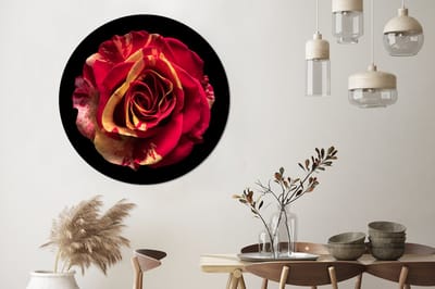 WallCircle® Wandcirkel 150x150 cm - Muurcirkel Bloem - Roos - Rood - Zwart - Muurdecoratie woonkamer - Wanddecoratie slaapkamer - Kamer decoratie accessoires - Ronde schilderijen