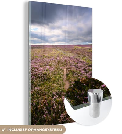 ® Glasschilderij 120x180 cm - Schilderij acrylglas - Wilde bloemen op de heide in het Nationaal park Northumberland in Engeland - Foto op glas - Muurdecoratie woonkamer - Wanddecoratie slaapkamer - Schilderijen