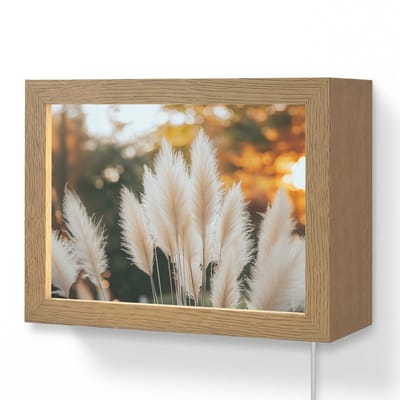 Wandlamp 20x15 cm - Oplaadbaar - Pampasgras - Pluimen - Sierlijk - Wandlampen binnen woonkamer - Slaapkamer lamp met kabel - Decoratieve nachtlamp - Vloerlamp snoer