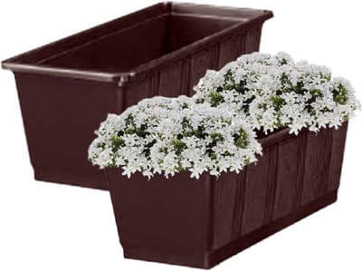 Geli Plantenbak kunststof - 2x - bruin - 60 x 17,5 x 14,5 cm - Bloembakken/plantenbakken voor binnen/buiten