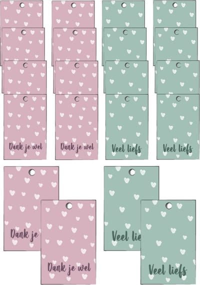 Cadeaulabels set 20 stuks – Cadeaukaartjes met gaatje – hartjes – 5,5 x 8,5 cm – Gift tags- minikaartjes