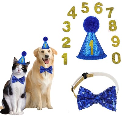 Dailygoody - Ropdassen Voor Verjaardagsfeest - Hond Hoed - Feestelijke Pet Party Decoratie Set - Medium - Kat en Hond - Decoratie Benodigdheden - Ges