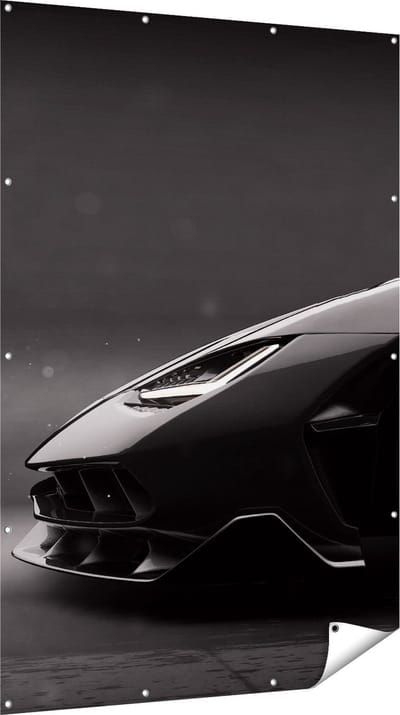 Gards Tuinposter Zijaanzicht Zwarte Sportwagen Auto - 120x180 cm - Tuindoek - Tuindecoratie - Wanddecoratie buiten - Tuinschilderij