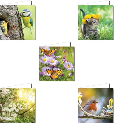 Wenskaartenpakket – 10 Fotografische Wenskaarten met Roodborstje, Vlinder en Kat (14,5 x 14,5 cm)