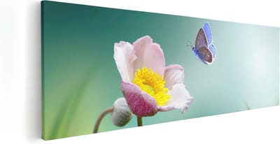 Artaza Canvas Schilderij Vlinder Op Bloem - 60x20 cm - Wanddecoratie Bloemen - Schilderijen Op Canvas Voorjaar