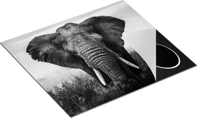 Chefcare Inductie Beschermer Olifant in het Wild - Kleur - Zwart Wit - 60x50 cm - Afdekplaat Inductie - Kookplaat Beschermer - Inductie Mat