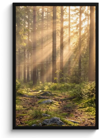 Poster in lijst - Fotolijst 60x90 cm - Posters - Bos - Zonlicht - Gras - Posterlijst zwart - Decoratie - Wanddecoratie woonkamer - Muurdecoratie slaapkamer