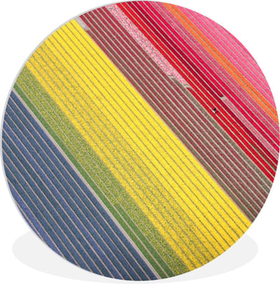 WallCircle® Wandcirkel 30x30 cm - Muurcirkel Kleurrijke afbeelding van bloemen in Nederland - Muurdecoratie woonkamer - Wanddecoratie slaapkamer - Kamer decoratie accessoires - Ronde schilderijen