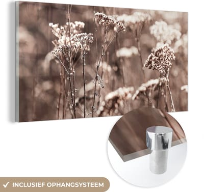 MuchoWow® Glasschilderij 120x60 cm - Schilderij acrylglas - Planten - Bloemen - Winter - Sneeuw - Sepia - Foto op glas - Schilderijen