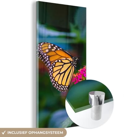 MuchoWow® Glasschilderij 20x40 cm - Schilderij acrylglas - Vlinders - Bloem - Natuur - Foto op glas - Schilderijen