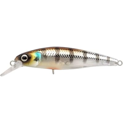 Lok Spro Ikiru Silent Jerk SLS 65