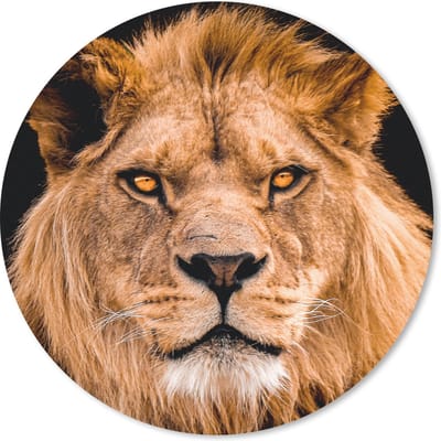 Muismat rond 20x20 cm - Mousepad Leeuw - Portret - Zwart - Ronde muismatten