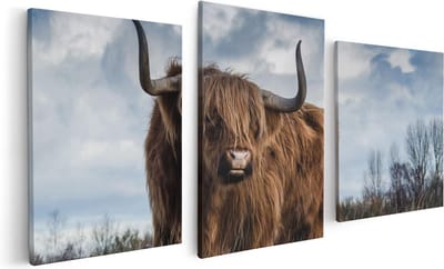 Artaza Canvas Schilderij Drieluik Schotse Hooglander Koe - Kleur - 120x60 - Foto Op Canvas - Canvas Print