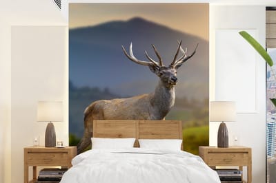Behang - Fotobehang Hert - Berg - Gras - Zonsondergang - Dieren - Natuur - Breedte 175 cm x hoogte 240 cm