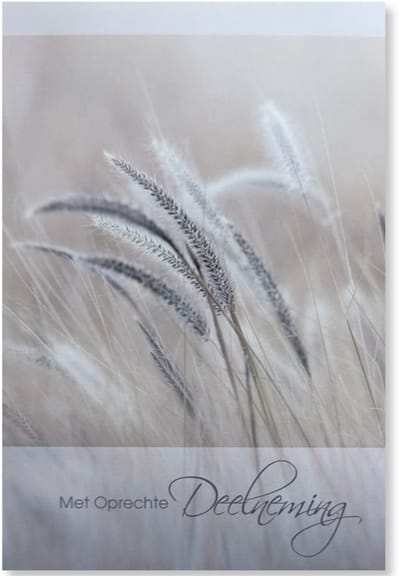 Cards & Crafts Condoleancekaart - Met Oprechte Deelneming Wenskaart - 12 x 17 cm - gevouwen kaart Inclusief envelop